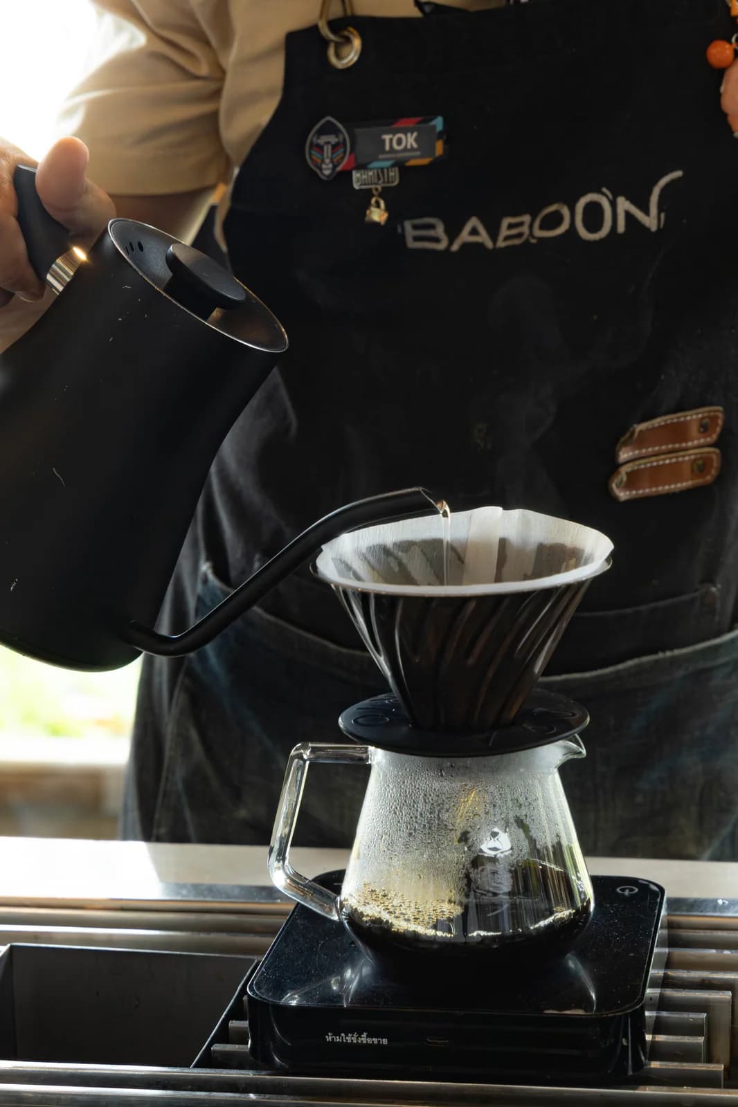 Baboon barista pouring water over coffee in a paper-lined dripper