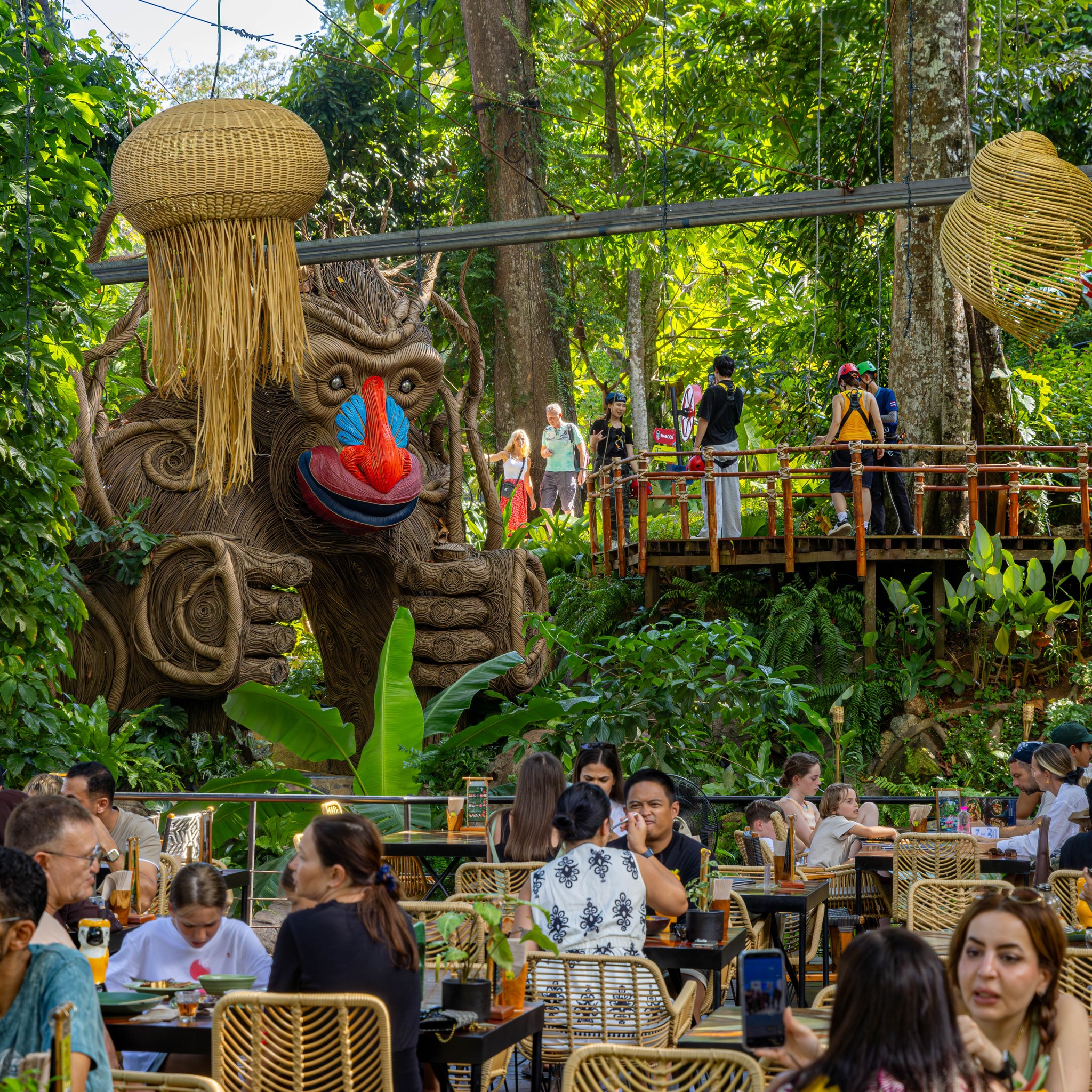 Jungle setting