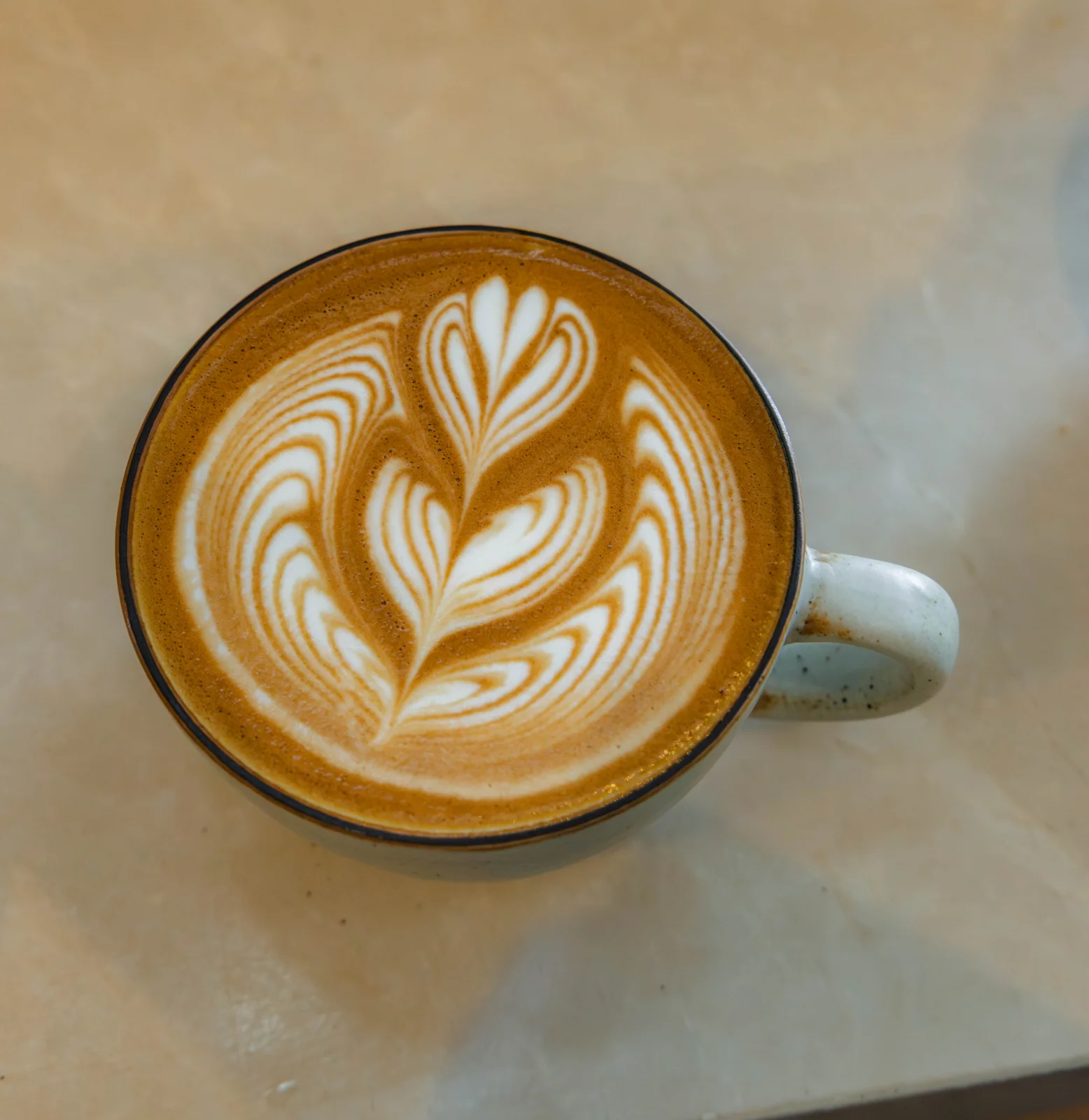 Overhead view of a latte with leaf-shaped milk art